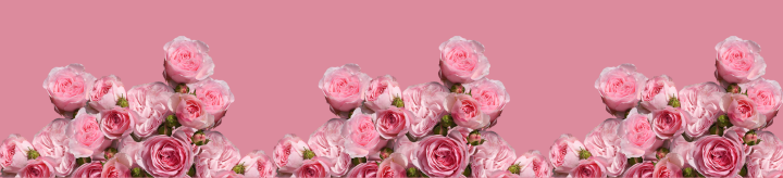 valentine's day