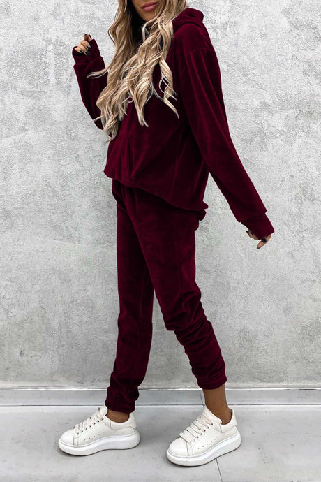Velour Solid Color Hoodie Long Pants Set