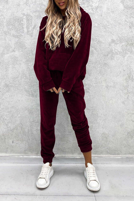Velour Solid Color Hoodie Long Pants Set