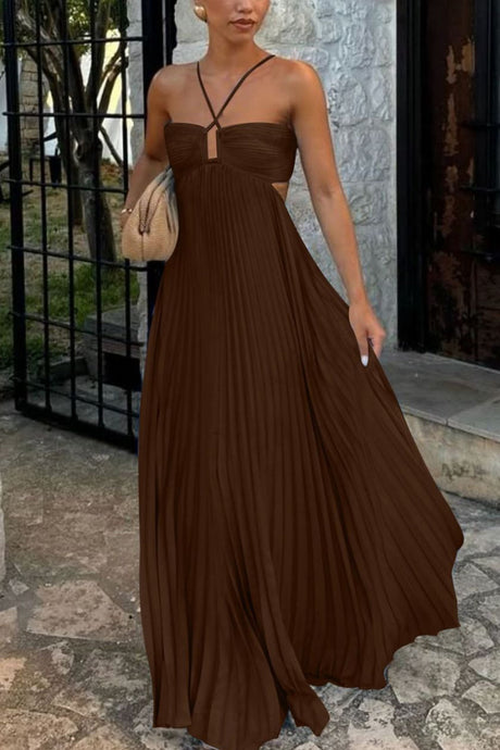 Arolora Halterneck Cutout Pleated Maxi Dress
