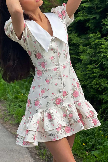 Arolora V-Neck Puff Sleeve A-line Ruffle Mini Dress