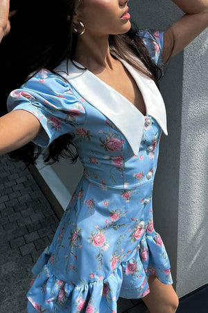 Arolora V-Neck Puff Sleeve A-line Ruffle Mini Dress