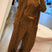 Arolora leopard-print-long-cardigan-two-piece-pants-suits