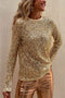 Sequin Crew Neck Long Sleeve Top