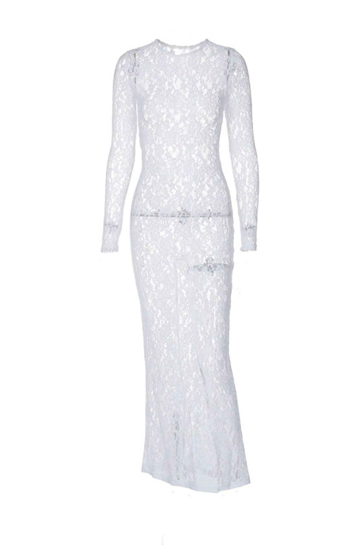 Sheer Lace Long Sleeve Maxi Dress